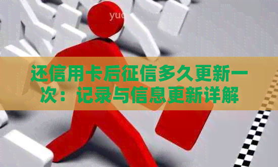还信用卡后多久更新一次：记录与信息更新详解