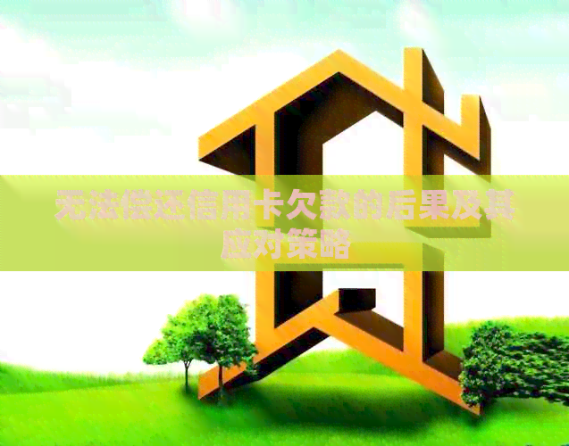 无法偿还信用卡欠款的后果及其应对策略