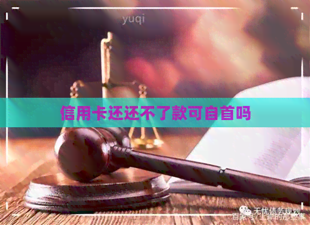 信用卡还还不了款可自首吗