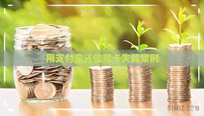 用支付宝还信用卡失败案例