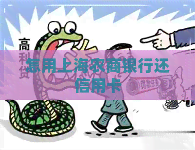 怎用上海农商银行还信用卡