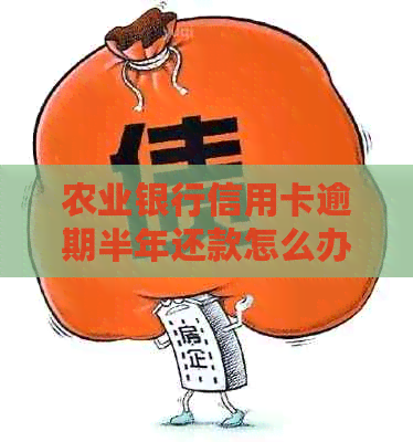 农业银行信用卡逾期半年还款怎么办？
