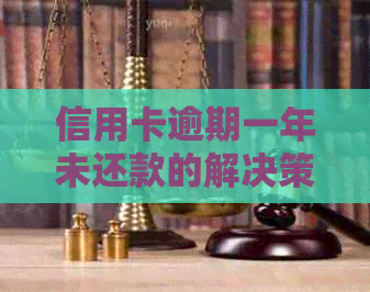 信用卡逾期一年未还款的解决策略与建议