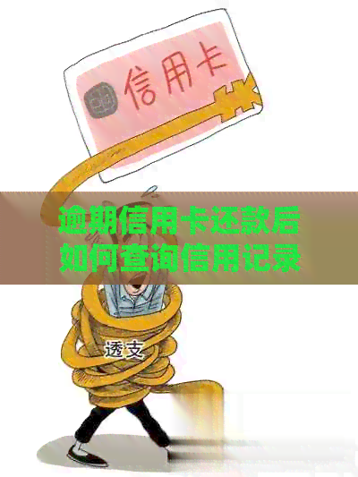 逾期信用卡还款后如何查询信用记录
