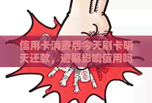 信用卡消费后今天刷卡明天还款，逾期影响信用吗？