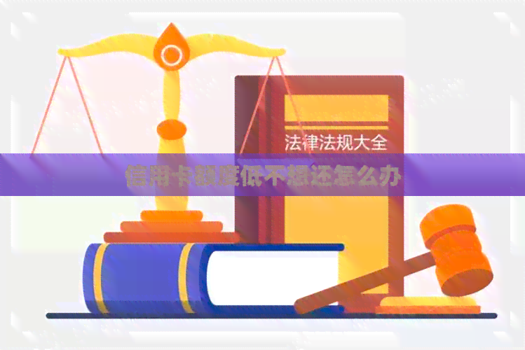 信用卡额度低不想还怎么办