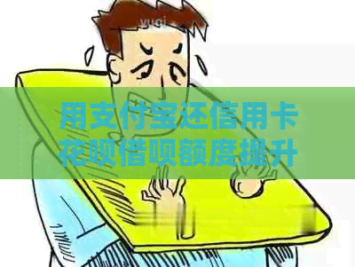 用支付宝还信用卡信用卡网贷额度提升：安全可靠吗？