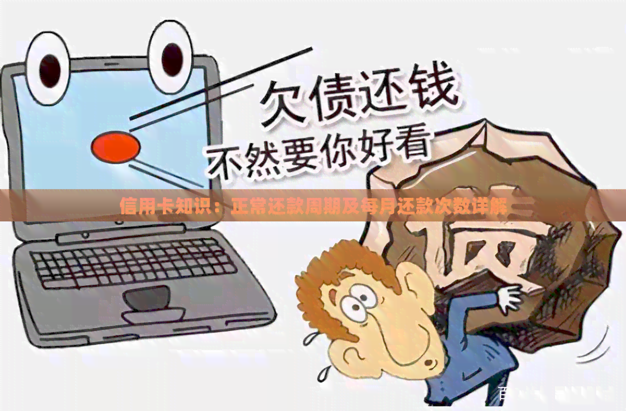 信用卡知识：正常还款周期及每月还款次数详解