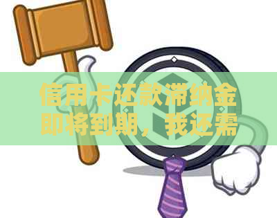 信用卡还款滞纳金即将到期，我还需支付多少？如何规划还款以避免逾期？