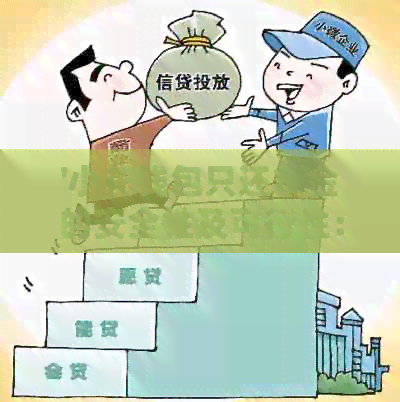 '小花钱包只还本金的安全性及可行性：真实情况解读'