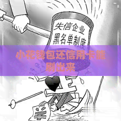 小花钱包还信用卡能刷出来