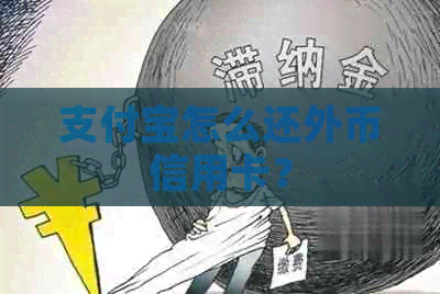 支付宝怎么还外币信用卡？