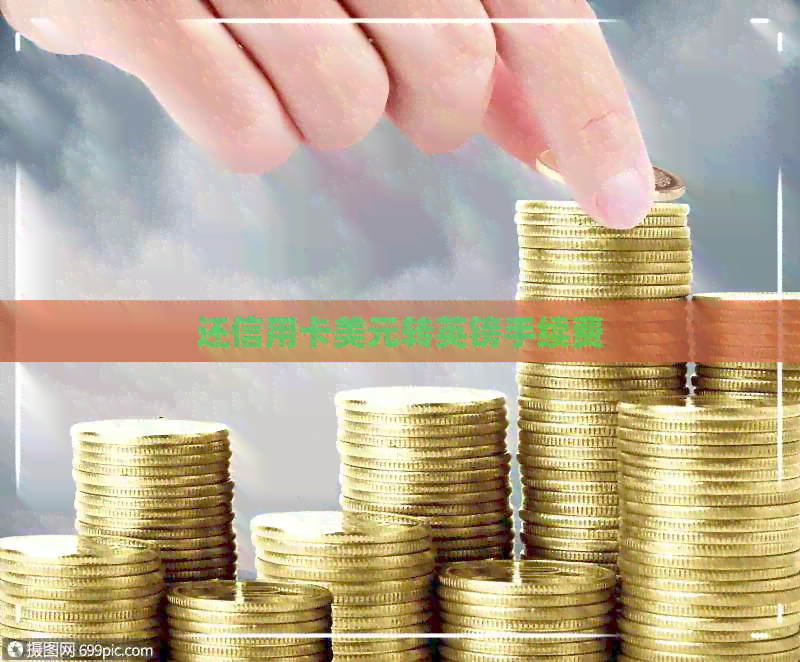 还信用卡美元转英镑手续费