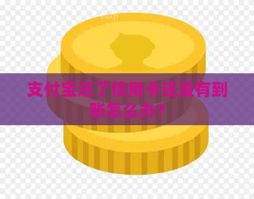 支付宝还了信用卡还没有到账怎么办？