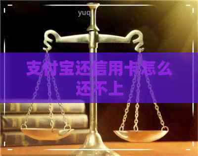 支付宝还信用卡怎么还不上