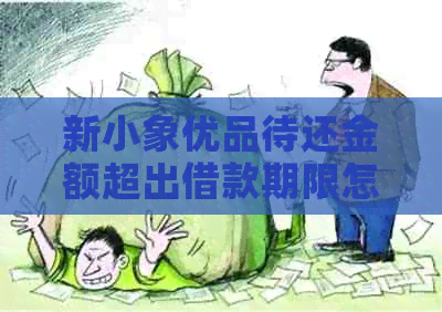 新小象优品待还金额超出借款期限怎么办？如何解决逾期问题？