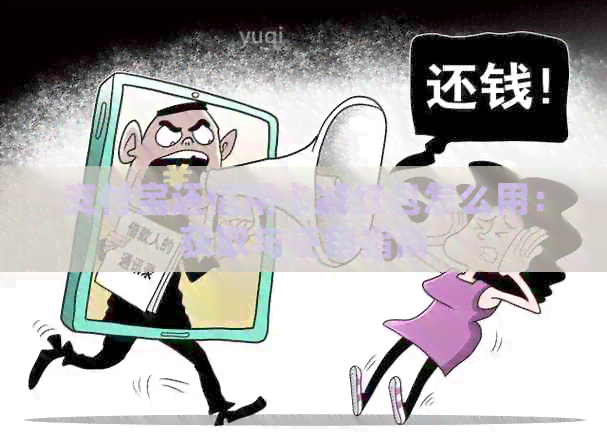 支付宝还信用卡减红包怎么用：获取与使用指南