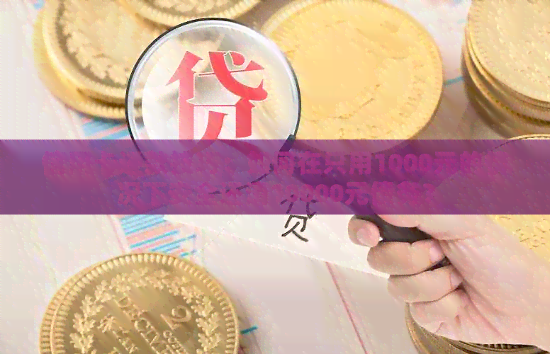 信用卡还款技巧：如何在只用1000元的情况下安全还清10000元债务？
