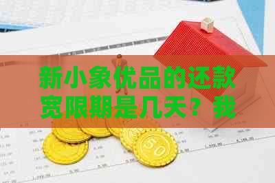 新小象优品的还款宽限期是几天？我该如何规划还款？