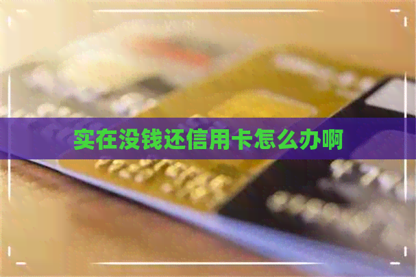 实在没钱还信用卡怎么办啊