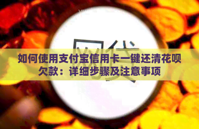 如何使用支付宝信用卡一键还清信用卡欠款：详细步骤及注意事项
