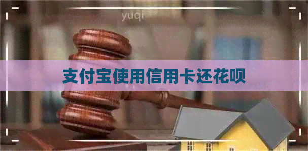 支付宝使用信用卡还信用卡
