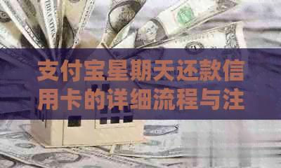 支付宝星期天还款信用卡的详细流程与注意事项，让你的还款更顺利！