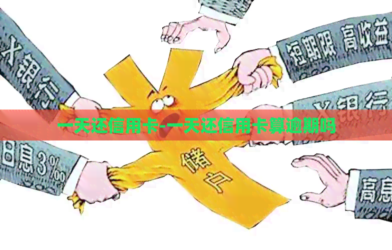 一天还信用卡-一天还信用卡算逾期吗