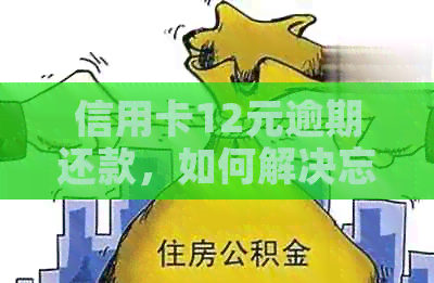 信用卡12元逾期还款，如何解决忘记还款问题？