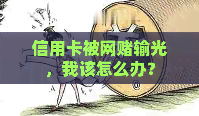 信用卡被网输光，我该怎么办？