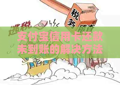 支付宝信用卡还款未到账的解决方法和原因分析
