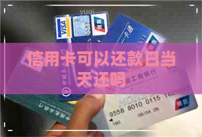 信用卡可以还款日当天还吗