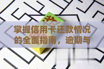 掌握信用卡还款情况的全面指南，逾期与欠款不再困扰你