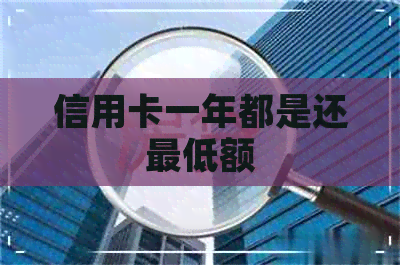 信用卡一年都是还更低额