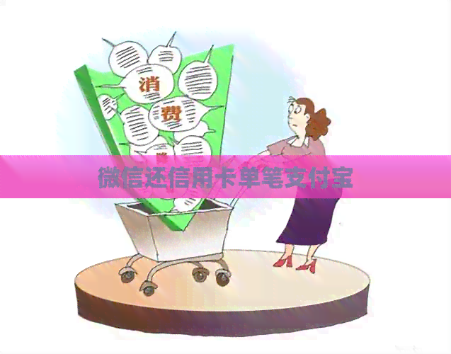 微信还信用卡单笔支付宝