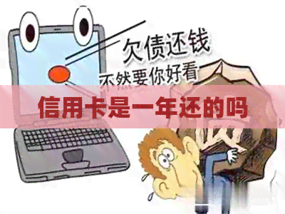 信用卡是一年还的吗