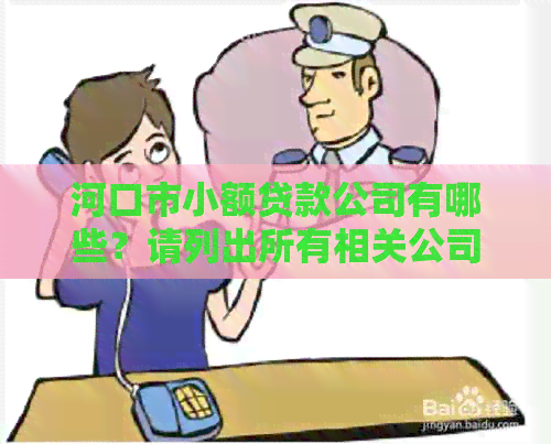 河口市小额贷款公司有哪些？请列出所有相关公司名称以便用户选择。
