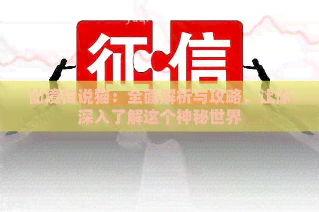 仙境传说猫：全面解析与攻略，让你深入了解这个神秘世界