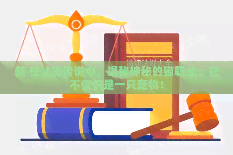 新 在仙境传说中，揭秘神秘的猫职业：它不仅仅是一只宠物！