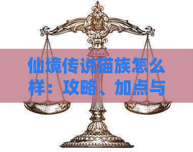 仙境传说猫族怎么样：攻略、加点与玩法详解