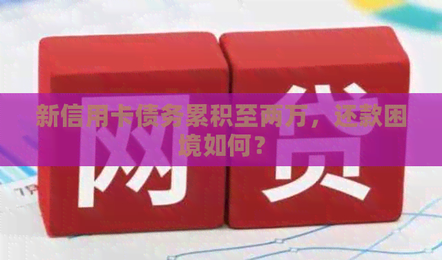 新信用卡债务累积至两万，还款困境如何？