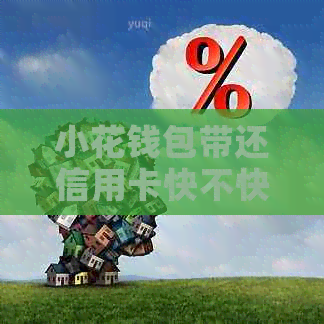 小花钱包带还信用卡快不快呢？如何操作？