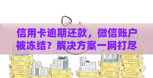信用卡逾期还款，微信账户被冻结？解决方案一网打尽！