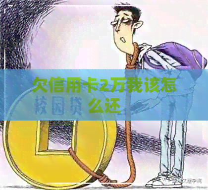 欠信用卡2万我该怎么还