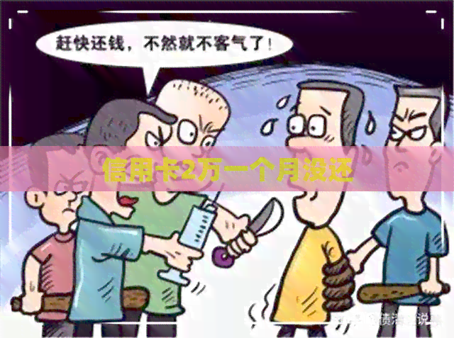 信用卡2万一个月没还