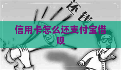 信用卡怎么还支付宝网贷