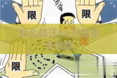 怎么样还60万信用卡欠款