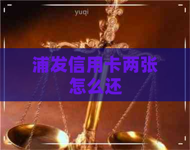 浦发信用卡两张怎么还