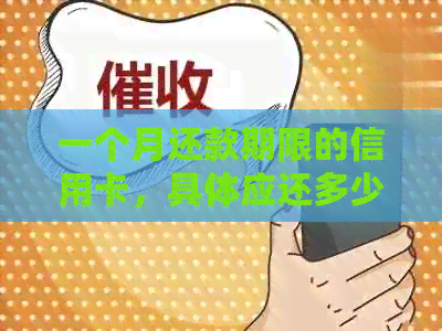 一个月还款期限的信用卡，具体应还多少钱？如何计算？