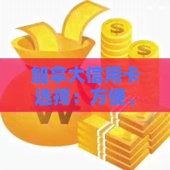 加拿大信用卡选择：方便、优质与里程兑换